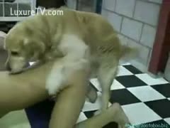 A gorgeous white bitch with golden hair is on her hands and knees to have a dog fuck.